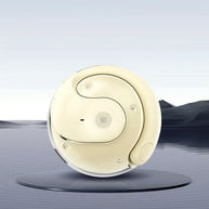 Smart Translator Earbuds