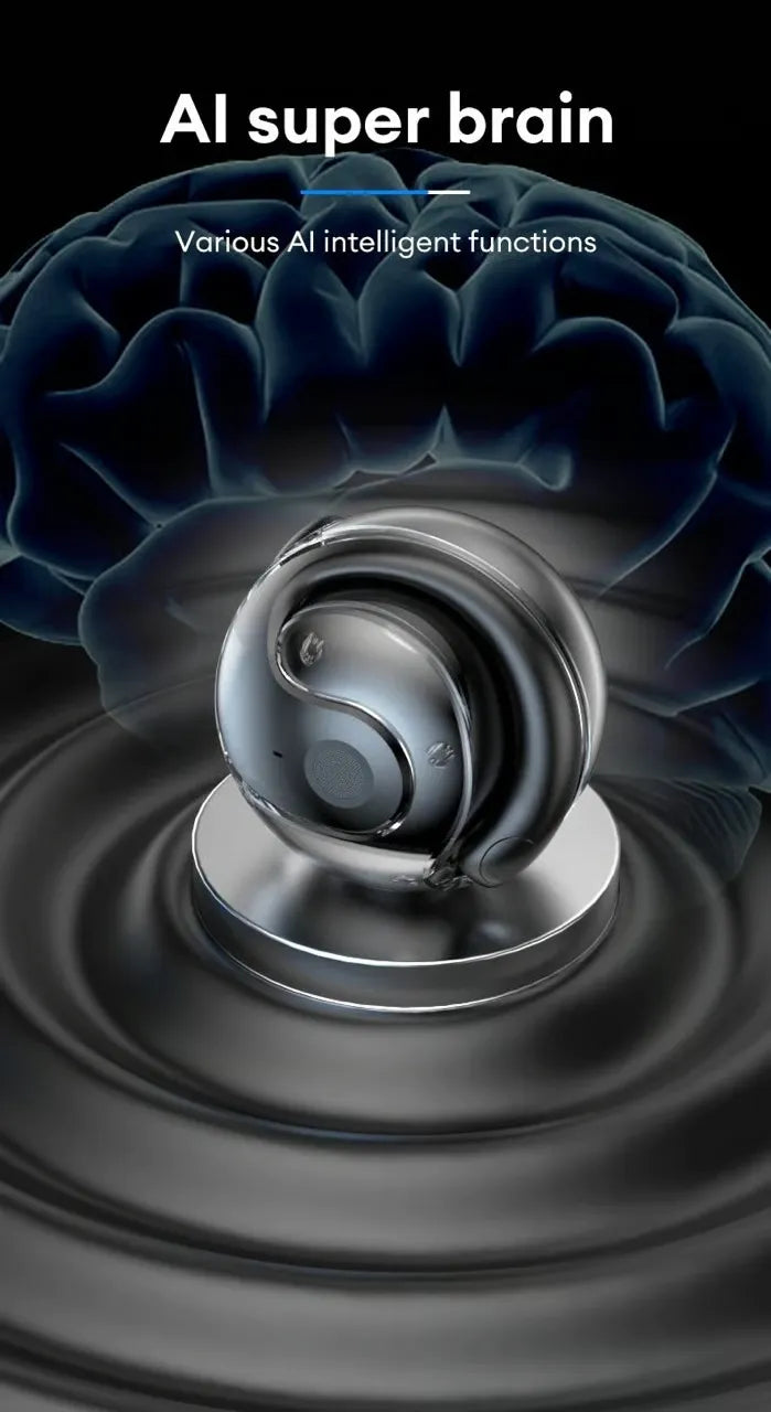 Smart Translator Earbuds